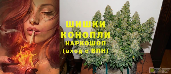 таблы Новокубанск