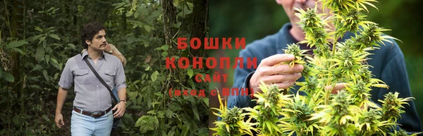 марихуана Новозыбков