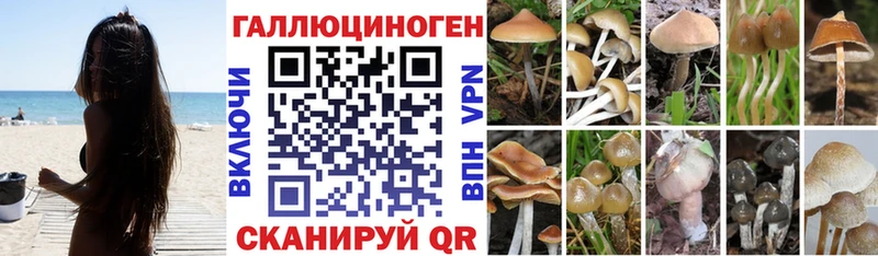 Псилоцибиновые грибы Psilocybine cubensis  даркнет сайт  Туран 
